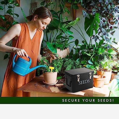 Garden Seed Storage Box with Dividers Seeds Packet Organizer Case for Gardening 3 Inner Slot Bird Plant or Vegetable Seed Container Saver Tin – Black Galvanized Metal with Envelopes & Labels