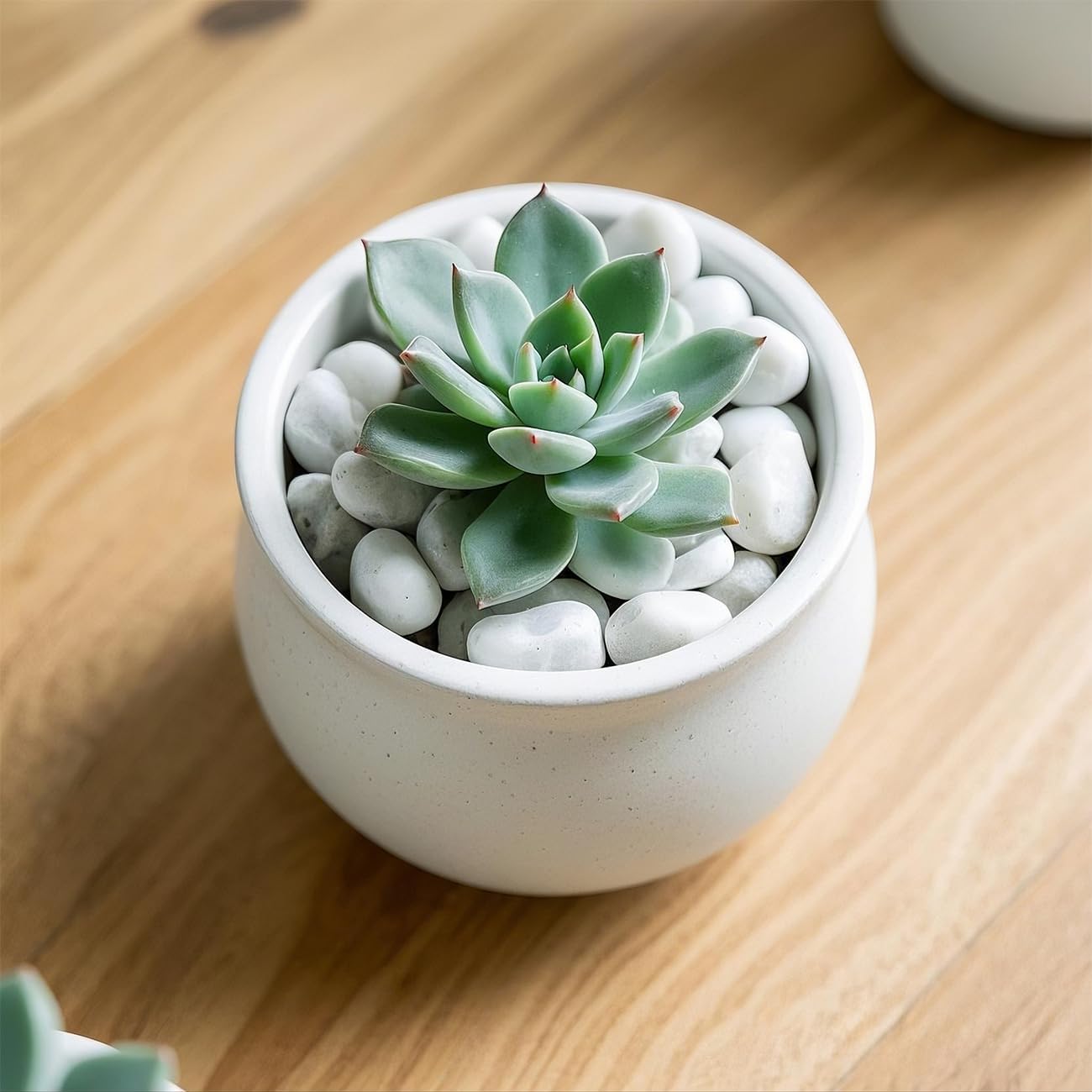 5 Lbs River Rocks for Plants,0.4-1.2 Inch Decorative Ornamental Pebbels, High Polished Stones for Garden Landscaping, Smooth Gravel Filler for Outdoor Plants, Succulents, Fish Tank and Vases, White