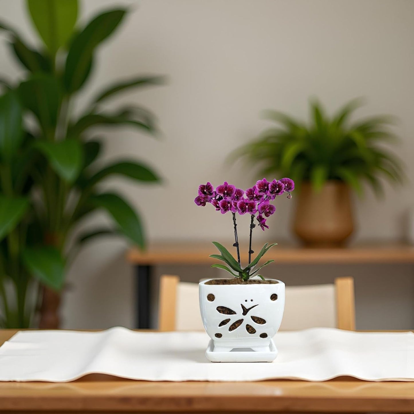 Orchid Pots with Holes Square Ceramic Orchid Planter Pots 5.5 inch (White)