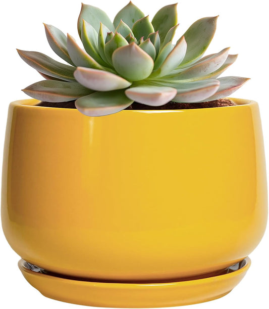 G EPGardening Ceramic Plant Pot - 6 Inch Ceramic Planter with Drainage Hole and Tray, Modern Round Planter, Flower Pot for Indoor Outdoor Plants, Plants Lovers Gifts, House Garden Decor, Yellow