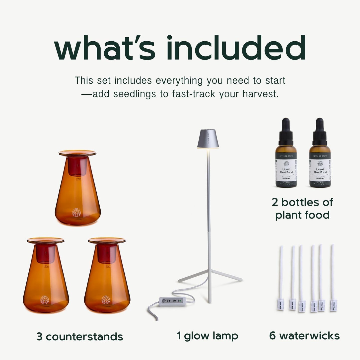 Counterstand Set – Vase Plant for Indoor Edible Garden Kit for Herbs & Lettuce – Small-Space Hydroponic System – Home Decor & Gifting – Without Live Plants