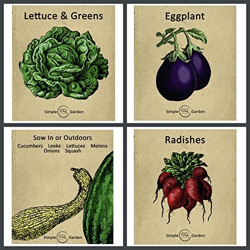 1 Set of 23 Vintage Garden Design Divider Cards for Organizing Seed Packets 5.5" Tall by 4" Wide