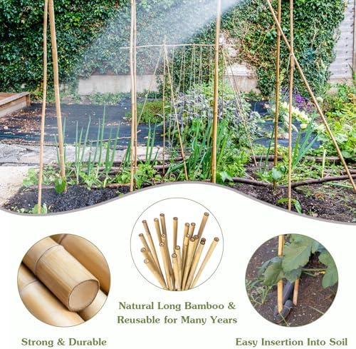 Plant Stakes 3FT, Natural Bamboo Stakes, 25Pcs Sturdy Bamboo Garden Stakes