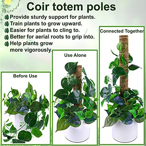 Fabulas Moss Pole 36 Inch - Monstera Plant Support, 2 Pack 20.5 Inch Plant Stakes for Indoor Plants Coco Coir Moss Pole Sticks for Climbing Potted Live Plants, Pothos, Philodendron, with Garden Ties