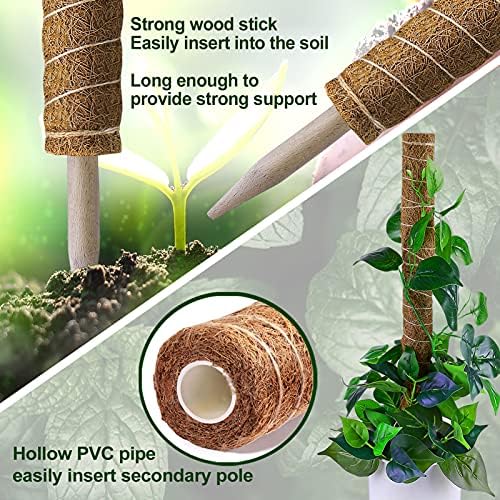 Fabulas Moss Pole 36 Inch - Monstera Plant Support, 2 Pack 20.5 Inch Plant Stakes for Indoor Plants Coco Coir Moss Pole Sticks for Climbing Potted Live Plants, Pothos, Philodendron, with Garden Ties