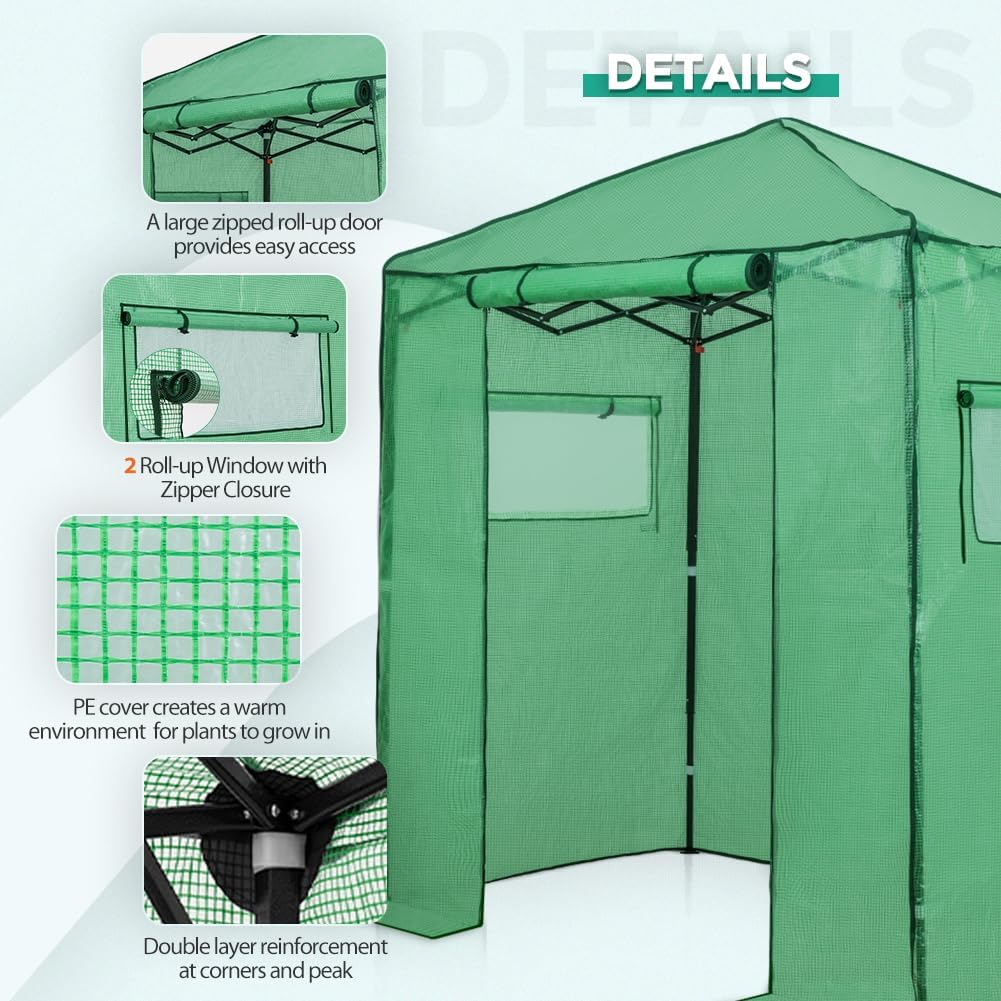 EAGLE PEAK Instant Pop-up Greenhouse, Indoor Outdoor Plant Gardening Green House, Roll-Up Zipper Doors and Side Windows, Walk in 6x4 ft, PE Cover, Green/Clear