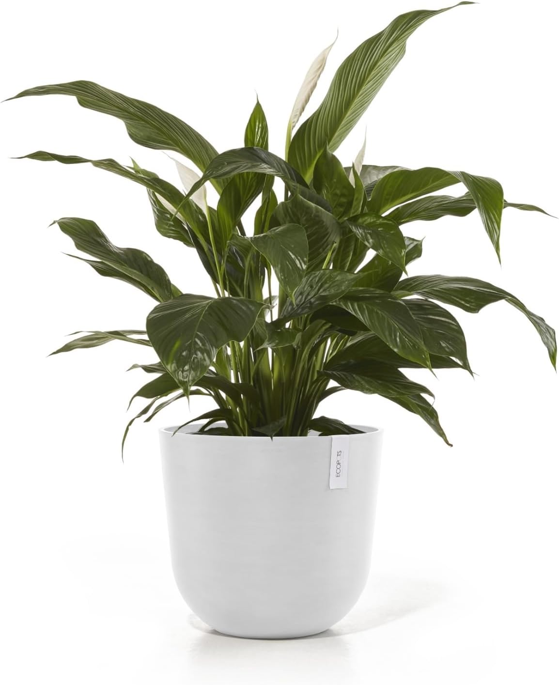 Ecopots Oslo Durable Modern Round Indoor/Outdoor Recycled-Based Composite Flower Pot Planter, Pure White, 17.75"