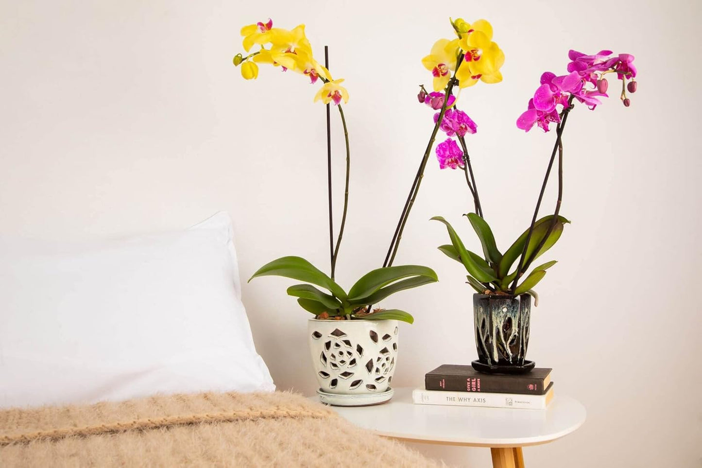 rePotme Orchid Pot - 5 inch Floral Cutout Ceramic Orchid Pot with Holes (Cream Over Cotton Candy) - Includes 5 inch Slotted Pot Liner