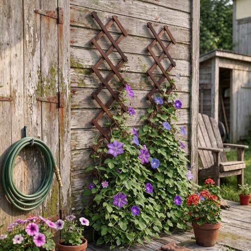 2Pcs Expandable Garden Trellis, 13"x68" Trellis for Climbing Plants Outdoor