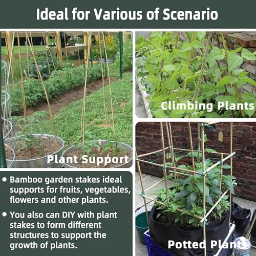 50Pcs / 3ft Bamboo Plant Stakes for Indoor Outdoor Plants, Garden Plant Support Sticks, Poles for Tomato Vegetables Beans Trees Potted Climbing Plants(0.32''-0.4'')