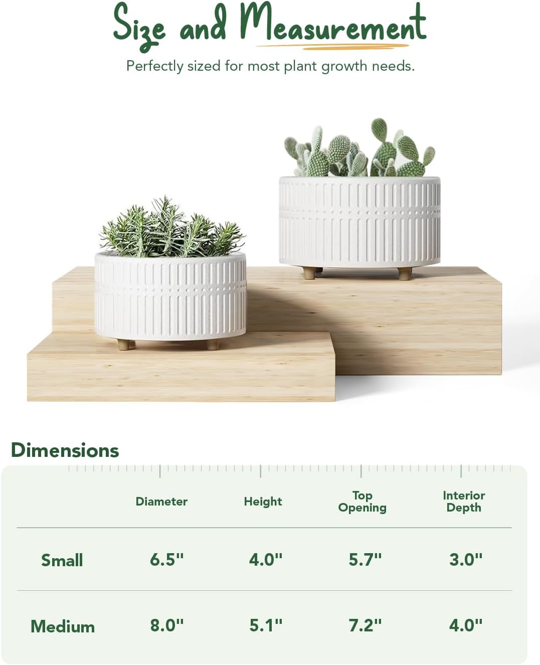 LE TAUCI Succulent Pots, 6.5+8 Inch Ceramic Indoor Plant Pot with Drainage Hole, Shallow Round Succulent Planters, Set of 2, Matte White