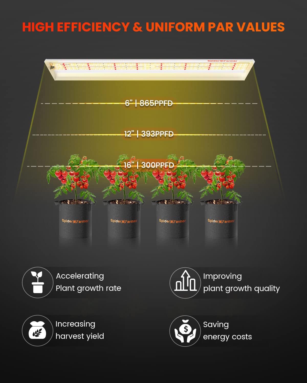Spider Farmer SF600 LED Grow Lights 2x4 ft Coverage Sunlike Full Spectrum Plant Growing Lamp for Indoor Plants Seeding Veg Flower Energy Saving & High Efficiency Grow Light 384 Diodes