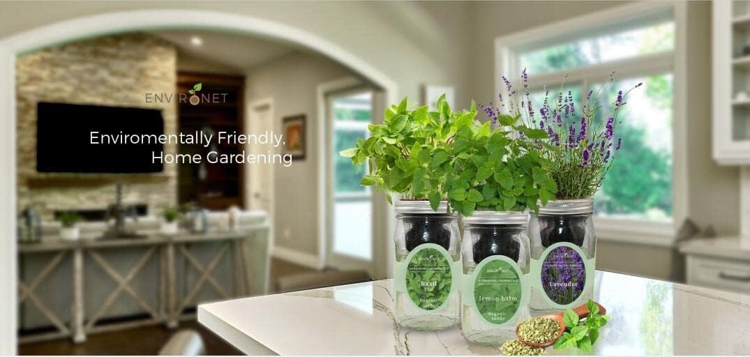 Hydroponic Herb Growing Kit, Self-Watering Mason Jar Herb Garden Starter Kit Indoor, Windowsill Herb Garden, Grow Your Own Herbs from Organic Seeds (Dill)