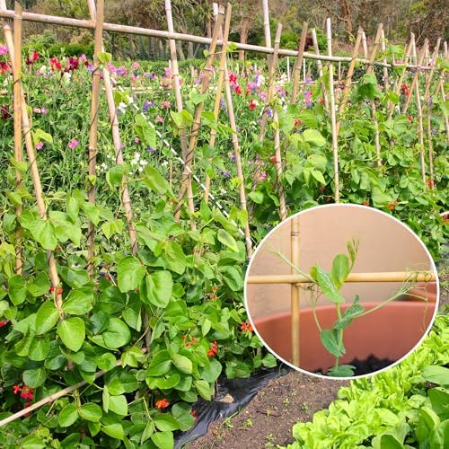 Bamboo Stakes,3FT Natural Bamboo Garden Stakes, 25Pcs Plant Support Stakes