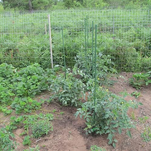 Garden Plant Stakes, 57 Inch (Approx 5Ft) Steel Tomato Stakes, 25 Pack