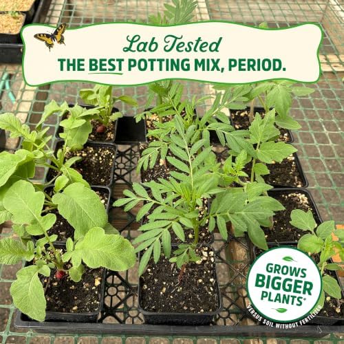 Back To The Roots Master Potting Mix, 100% Organic, Larger Plants & Blooms