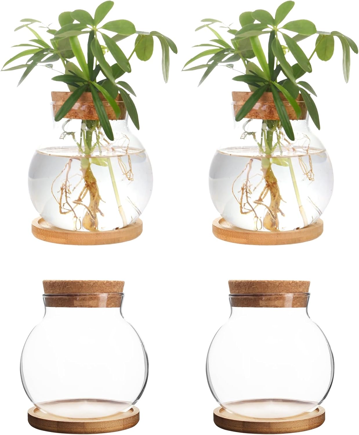 Plant Propagation Station,Hydroponic Glass Container Vase Jars, with Wooden Saucer for Desks, Houses, Garden Decorations, Home Kitchen Decorations and Gifts for Plant Lovers (4)