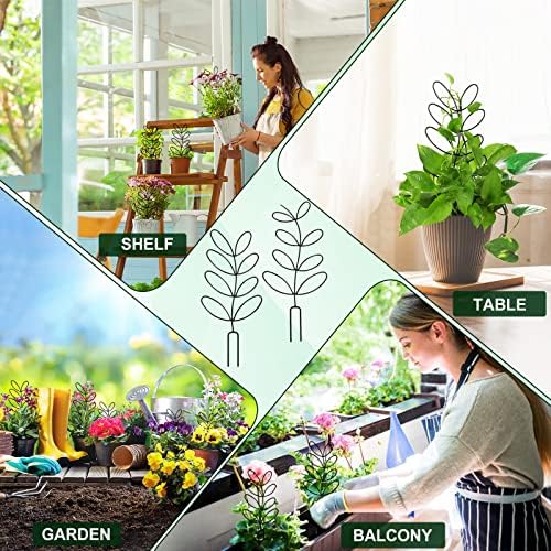 2 Packs Indoor Plant Trellis Garden Trellis for Climbing Plants