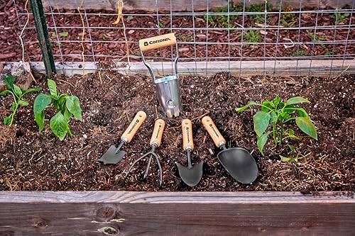 Corona Tools 3-Piece Wood Handle Garden Tool Set