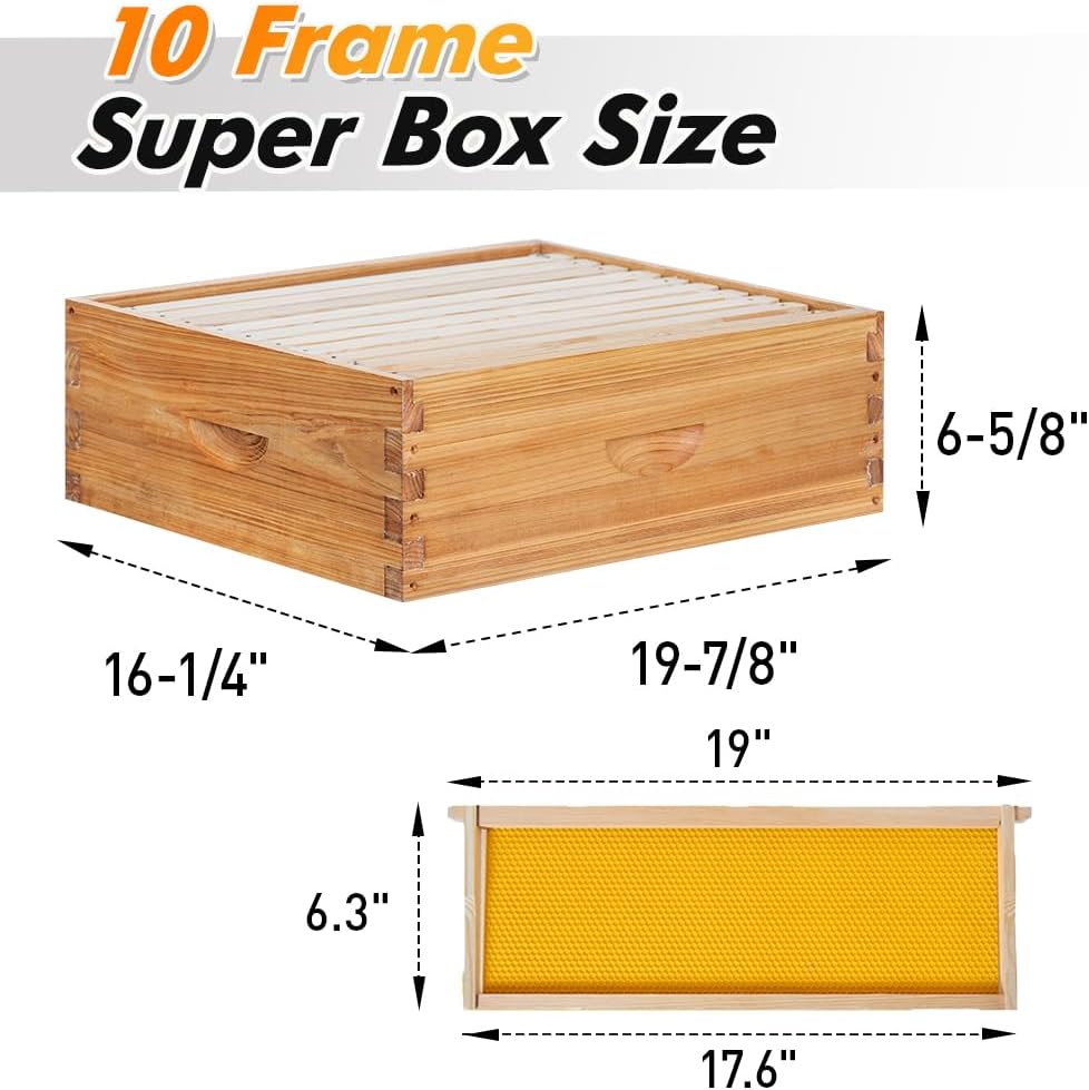 POLLIBEE 10 Frame Bee Hive,Beeswax Coated Beehive Kit for Bee Keeper,Complete Beehive Include 1 Deep Brood Bee Box and 1 Medium Bee Hive Box with Frame and Foundation