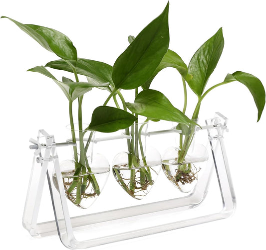 Plant Terrarium Propagation Stations with Acrylic Stand Birthday Gifts for Women Plant Stand Indoor Office Home Decor