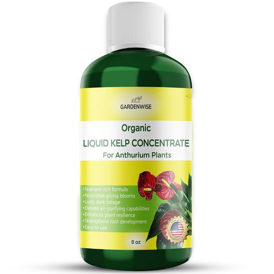 Organic Premium Seaweed Anthurium Fertilizer - Liquid Kelp Plant Food - Nutrient-Rich Soil Enhancer (8 OZ)