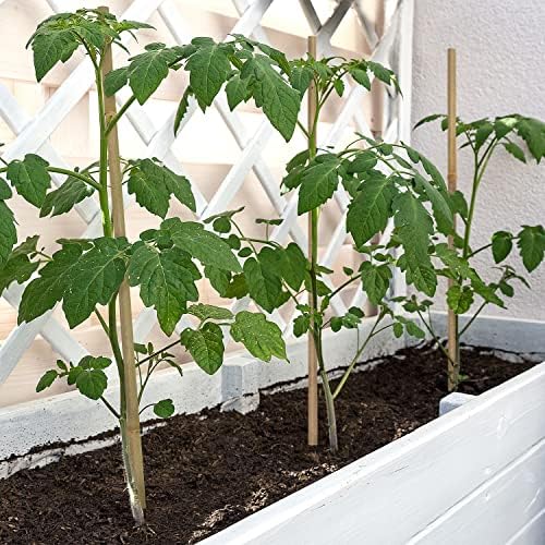 Plant Stakes,12IN Natural Garden Bamboo Sticks, 20Pcs Plant Support Stakes