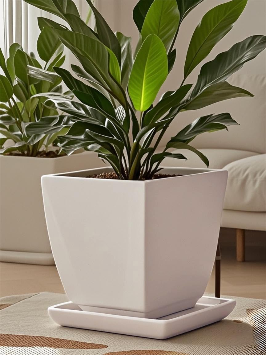 Square Plant Saucer 10 Inch 2 Pack，Plant Trays for Pots, White Ceramic Plant Saucers for Indoors Outdoors, Plant Drip Tray 4 6 8 10 12 14 Inch