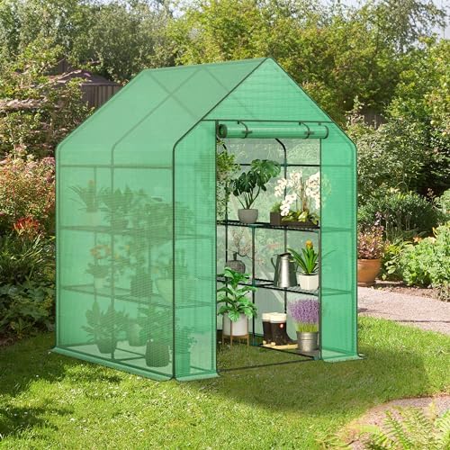 LEMY Walk-in Greenhouse for Outdoors,2-Tier 8 Shelves Heavy-Duty PE Cover with Roll-Up Zipper Door and Windows,Steel Frame Plant Hot House with Anchors,Ropes for Garden,Patio