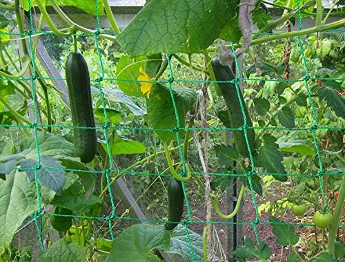 Trellis Netting for Climbing Plants - Heavy Duty Garden Trellis Netting for Cucumber, Vine, Fruits & Vegetables Tomato Plants Trellis Net, Climbing Vining Plants (1-Pack 16.4' x 6.6'Ft)