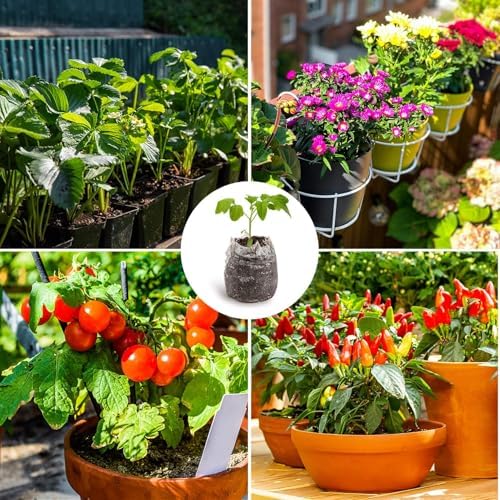 MAQIHAN 50PCS Peat Pellets for Seedlings - 30MM Seed Starter Soil Pods