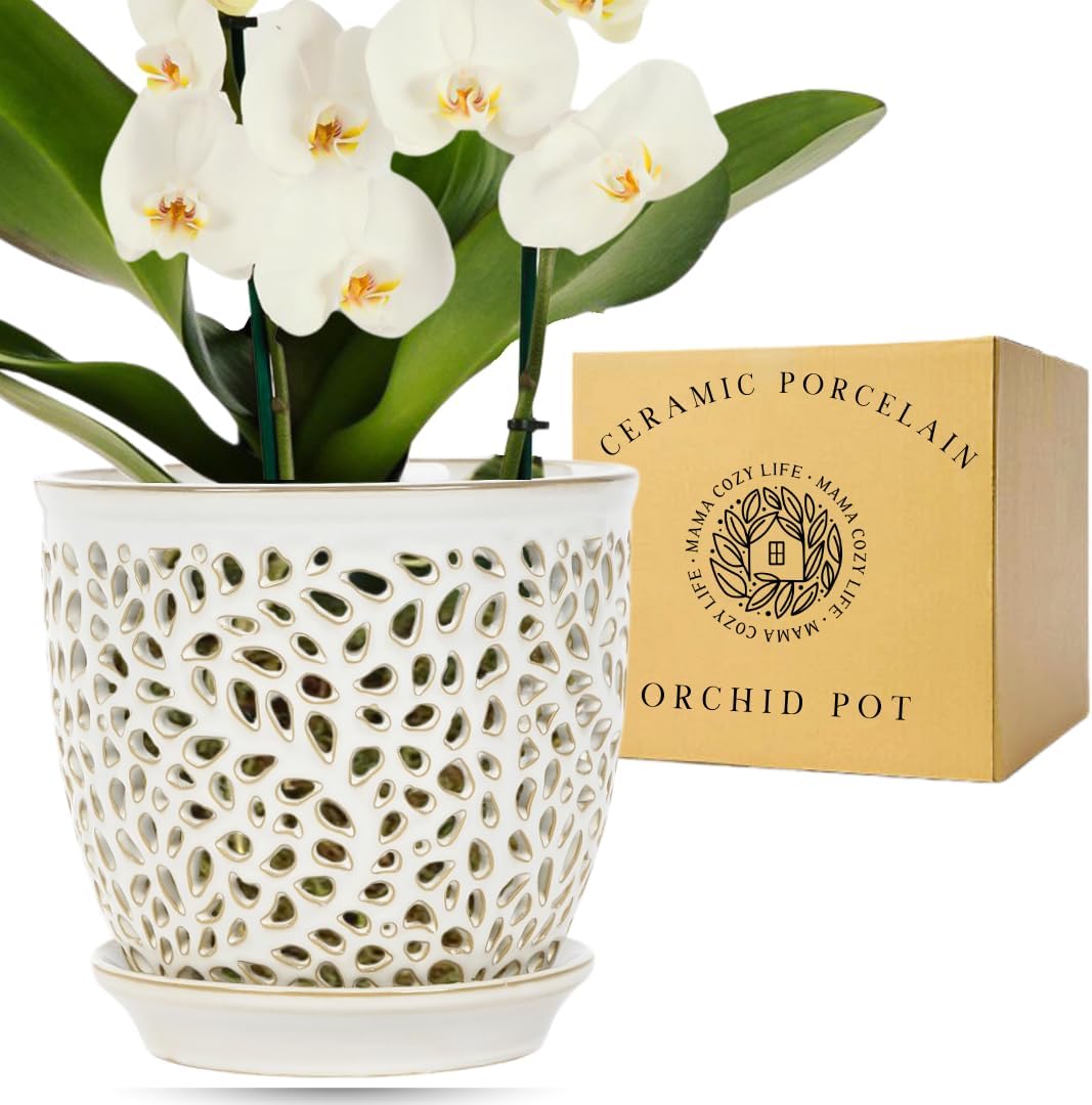 Elegant Orchid Pot with Holes, Large 6.5 inch Premium Porcelain Ceramic Orchid Pot for Repotting, Durable Ceramic Planter with Removable Saucer for Easy Drain, Planter Gifts for Moms