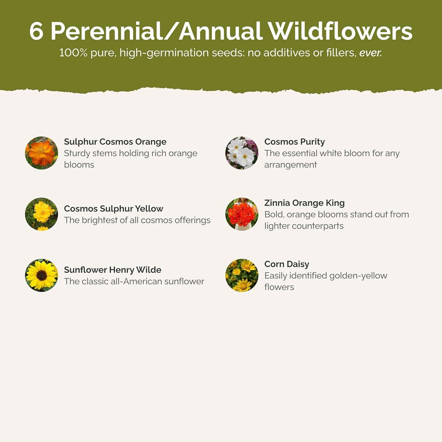 Eden Brothers Sunset Flower Mixed Seeds for Planting, 1 lb, 480,000+ Seeds with Cosmos, Zinnia, Sunflower, Corn Marigold | Attracts Pollinators, Plant in Spring or Fall, Zones 3, 4, 5, 6, 7, 8, 9, 10