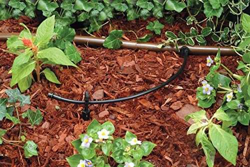 Rain Bird T22-250S Drip Distribution Tubing, 1/4"