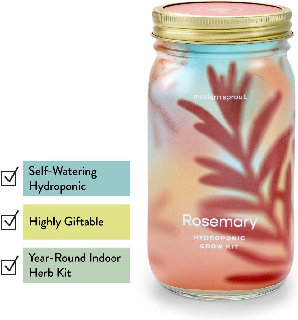 Modern Sprout Mason Garden Jar - Self-Watering Hydroponics Growing System Kit with Organic Herb Seeds - Jar Planter for Indoor Herb Garden - Seed Starter Kit - Home Decor & Gifting - Rosemary