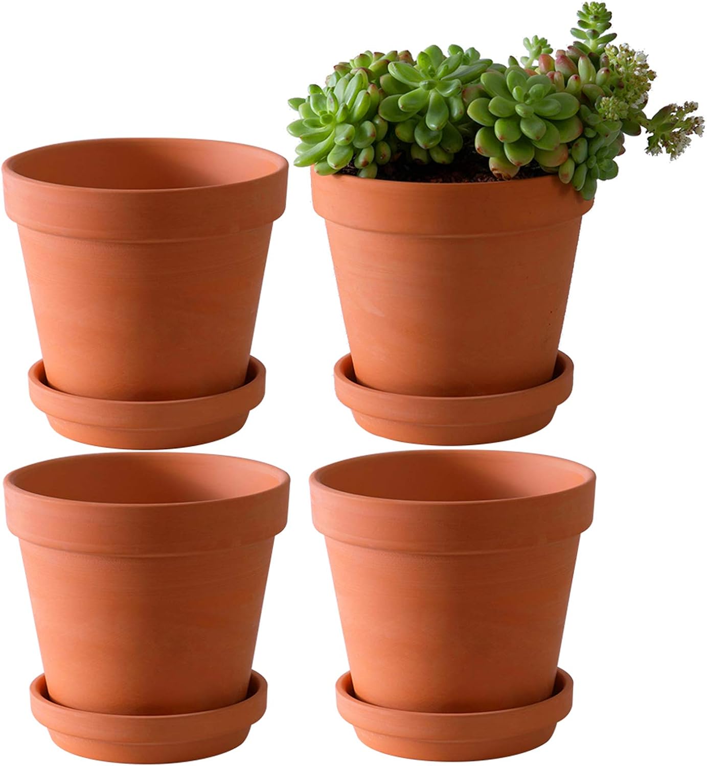 Yishang Large Terra Cotta Pots with Saucer- 4 Pack Large 6'' Terra Cotta Plant Pot with Drainage Hole, Flower Pot with Tray, Terracotta Pot for Indoor Outdoor Plant