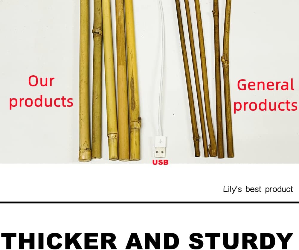 50 Pack 8ft Bamboo Plant Stakes for Wood Garden Sticks，Wooden Plant Supports，Bamboos，Bamboo Trellis，Crafts, More Size Choices 8"/12"/16"//2'/3'/4'/5'/6'/8'