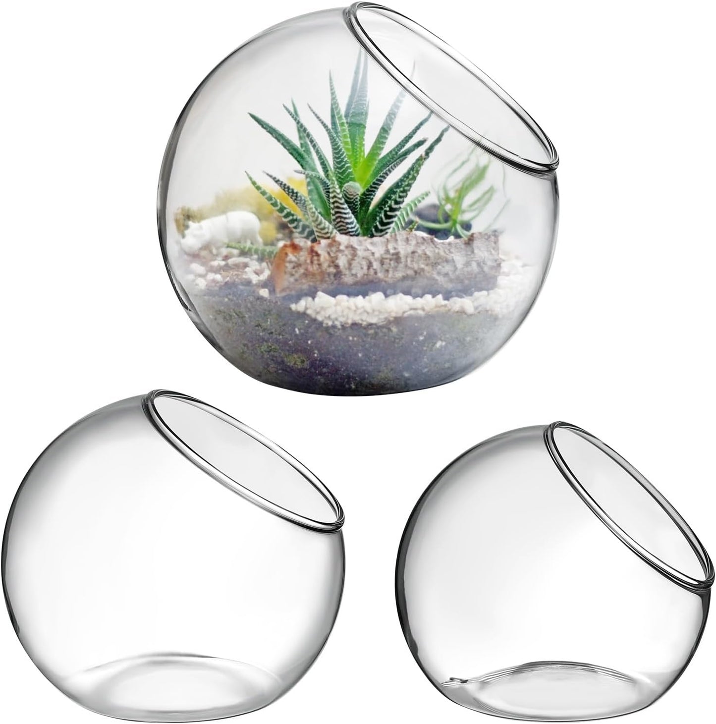 Mipcase 3 Pcs Plant Terrarium Plant Holder Terrarium Air Plant, 3 Round Glass Vase for Succulents, Clear Bubble Planter for Home Decor, Oblique Opening Glass Bowls Succulent Orbs Mini Tank