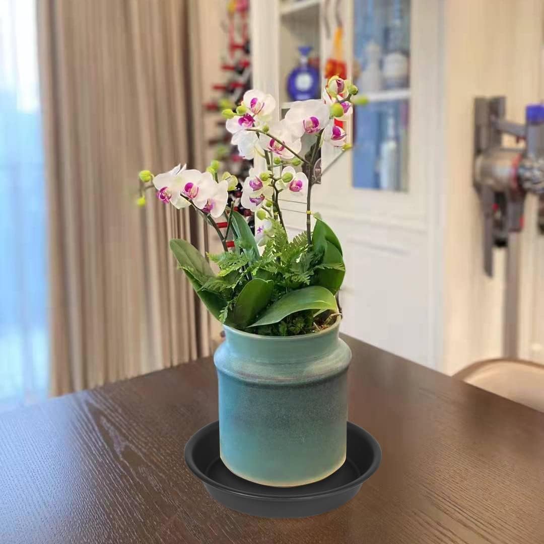 6 Pack 6 inch Plant Saucer Tray, 4 6 8 10 12 15 17 19 inch Plant Saucers, Heavy Duty Plastic Plant Saucers for Indoors, Bird Bath Bowls, Flower Plant Water Trays for pots Planter (6", Black)