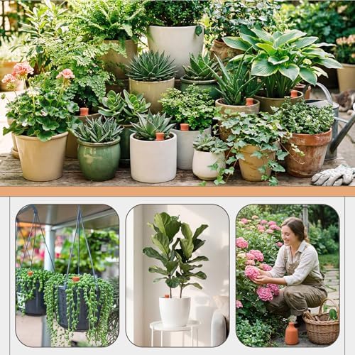 DoubleFill Ollas Terracotta Watering Pots, 100 oz, 1 Pcs