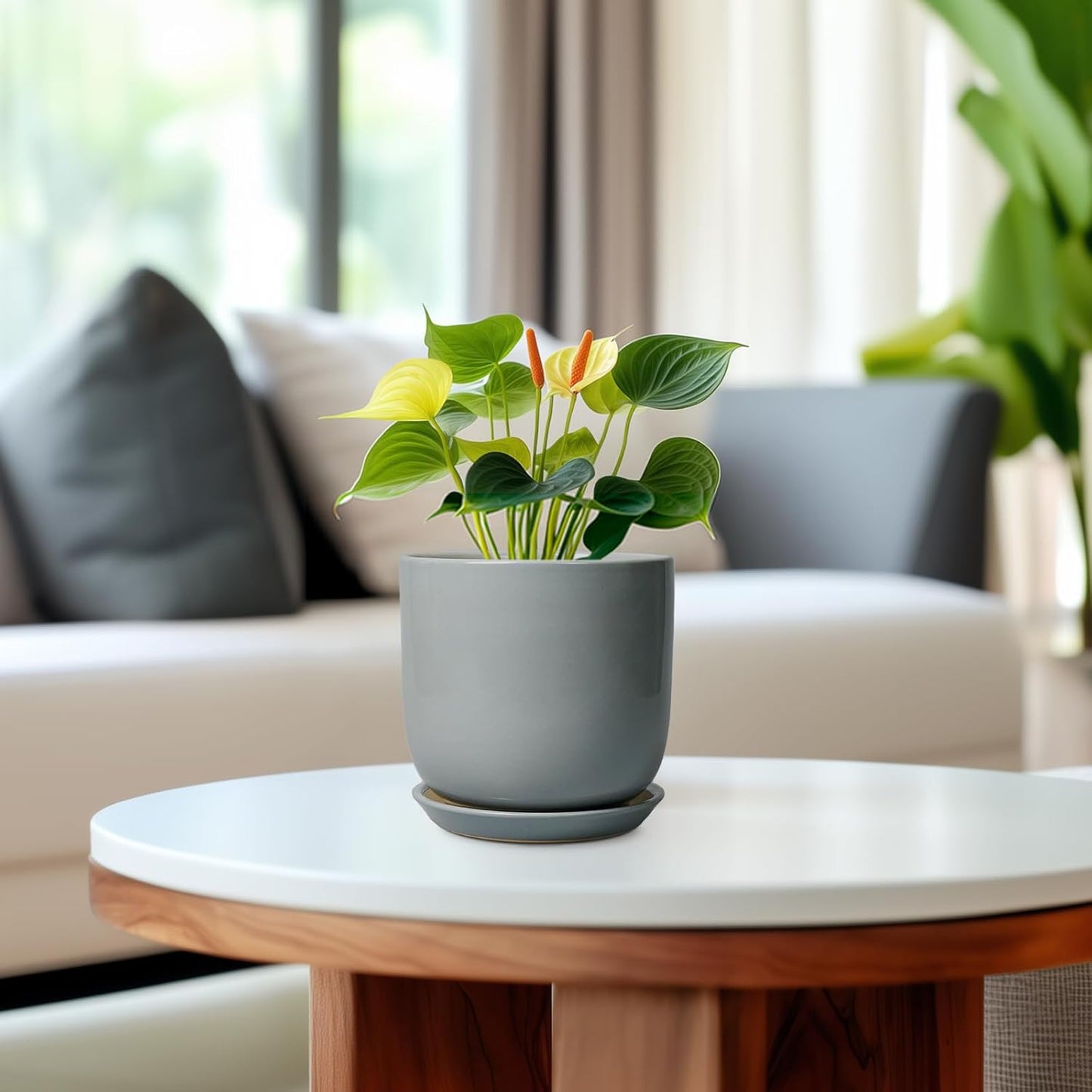 Ceramic Plant Pot 5 Inch - Modern Succulent Planter for Outdoor Indoor Plants with Drainage Hole and Saucer, Modern Home Decor, Gray