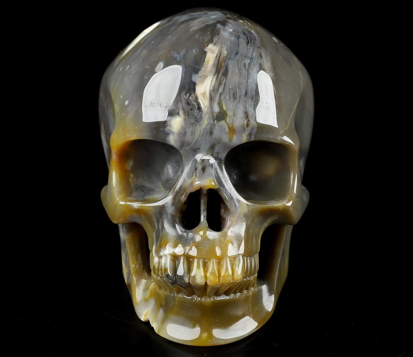 Skullis 5.0" African Petrified Wood Super Realistic Crystal Carved Crystal Skull. Hand Carved Gemstone Fine Art Sculpture.2261 Z8