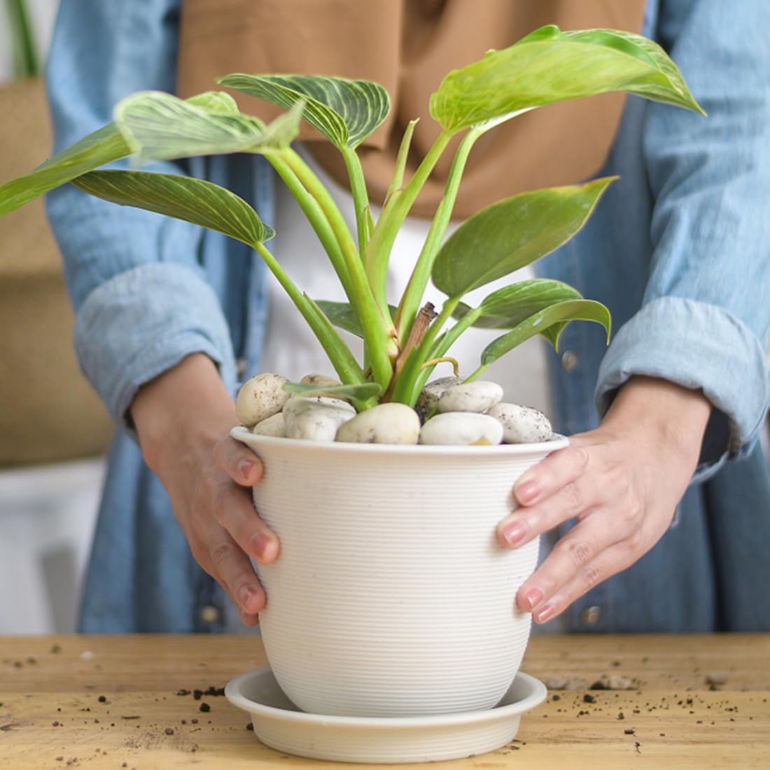 10lbs White River Rocks, 2-3 Inch Natural Pebbles for Indoor Plants, High Polished Decorative Stones Vase Filler Fish Tank Aquariums Landscaping Garden Outdoor and Indoor DIY