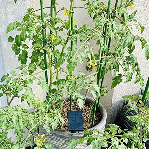 Garden Stakes, 24 Inch 2Ft Steel Plant Tomato Stakes, 25 Pack