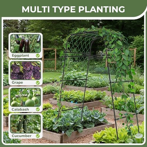 AlisisFores Garden Arch Plant Trellis, Black, 6.7FT