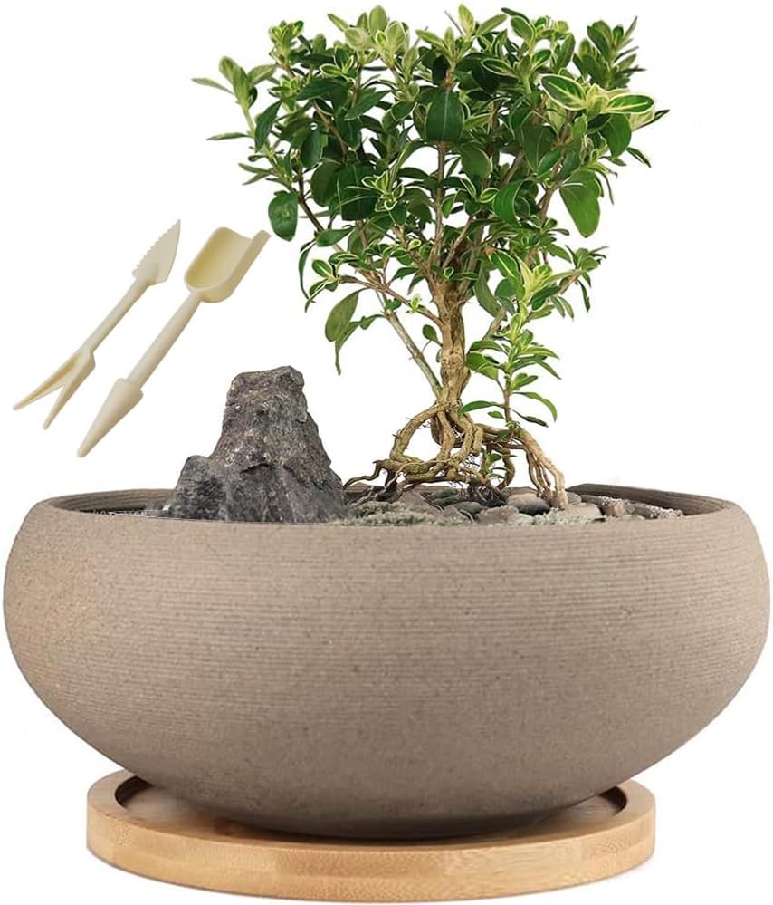 MUZHI Round Unglazed Ceramic Bonsai Pot with Bamboo Tray, Large Rough Pottery Succulent Planter with Drainage Hole 8 inch …