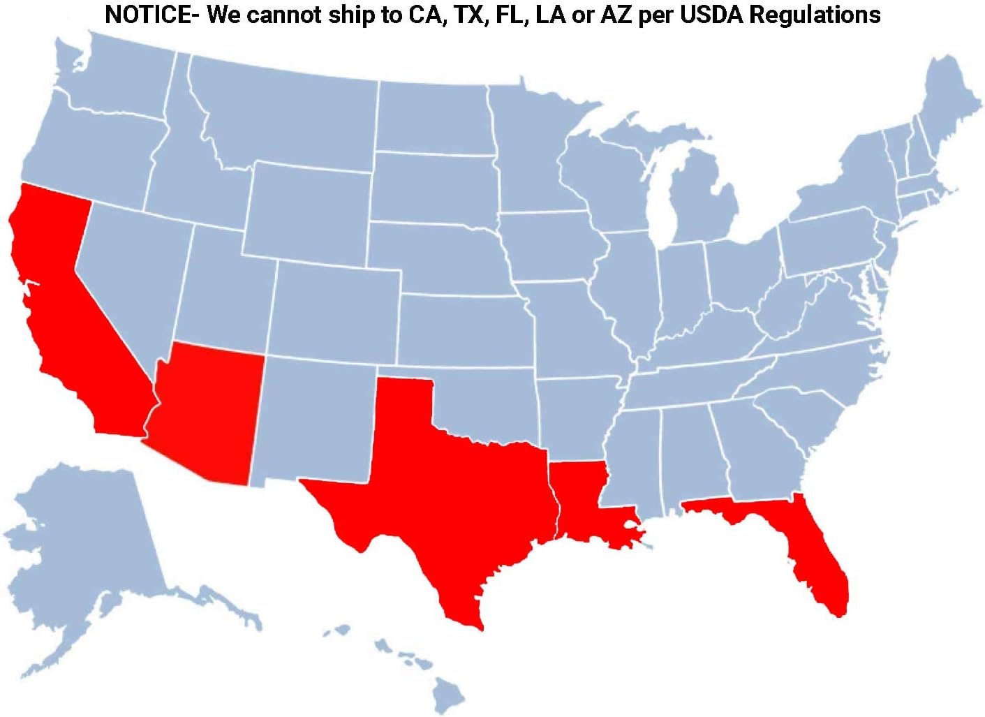 Brighter Blooms - Nules Clementine Tree, 2-3 Feet - Live Fruit Plant - No Shipping to AL, AZ, CA, FL, GA, LA, OR, TX, MS
