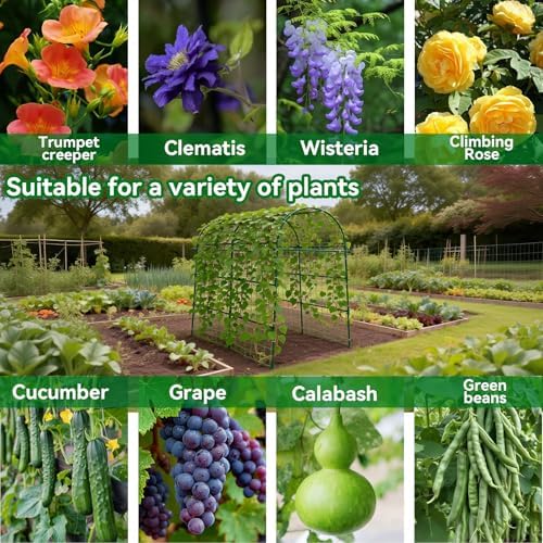 Garden Arch Trellis for Climbing Plants Outdoor - 83" H*71" W*43" L (Green)