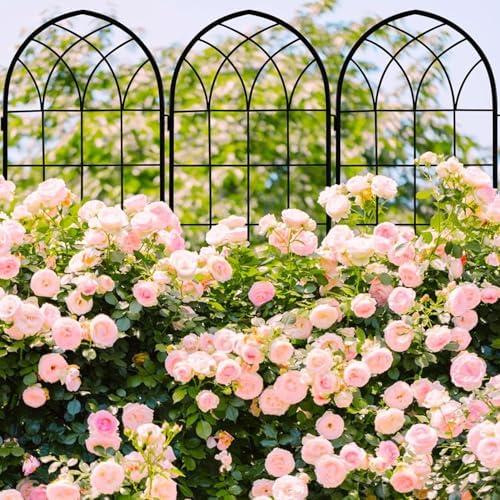71 x 80in Rustic Iron Arch Decoration Garden Trellis with Black Metal Coating – Perfect for Supporting Climbing Plants Outdoor, Roses, Vines, Flowers, and Vegetables.