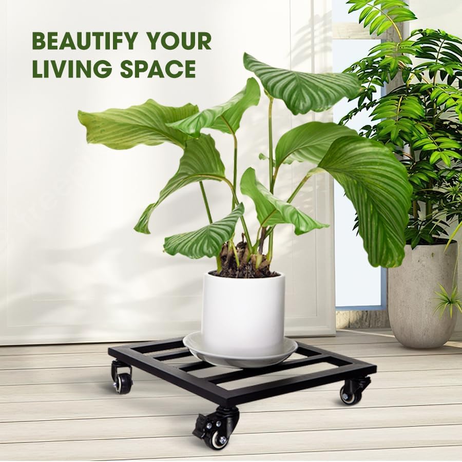 Plant Caddy with Wheels Lockable Heavy Duty Trolley Capacity 385 Lbs, Metal Cast Iron Plant Dolly, Plant Stand with Wheels Repositioning Heavy Pots 12Inch, Hauling Heavy Household Items - Black